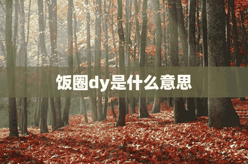 饭圈dy是什么意思